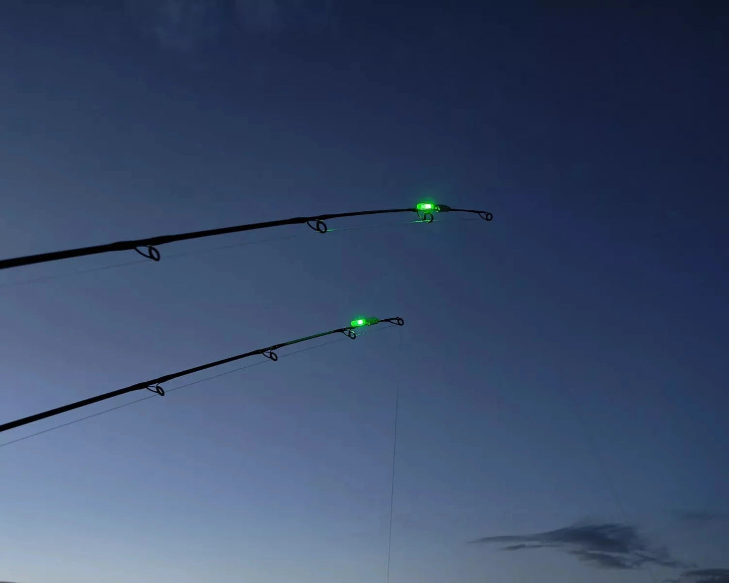 2 x Rod Tip Lights
